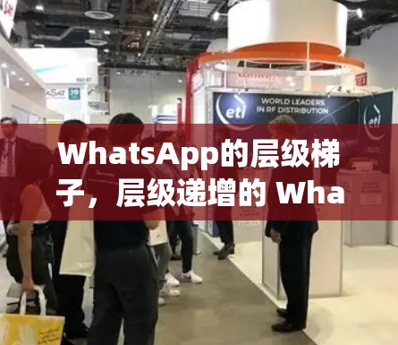 WhatsApp的层级梯子，层级递增的 WhatsApp模式