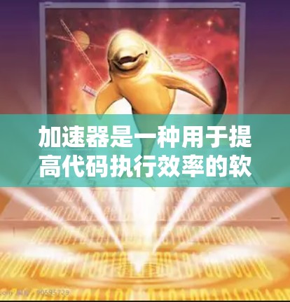 加速器是一种用于提高代码执行效率的软件工具，用户可以根据自己的需求和环境选择合适的加速器。以下是一些常见的加速器类型及其特点