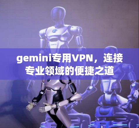 gemini专用VPN,连接专业领域的便捷之道 gemini专用VPN,连接专业领域的便捷之道