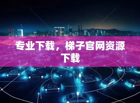 专业下载,梯子官网资源下载