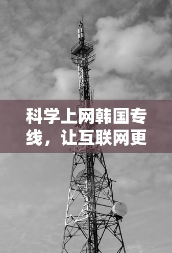 科学上网韩国专线,让互联网更高效