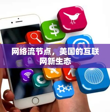 网络流节点,美国的互联网新生态 网络流节点,美国的互联网新生态
