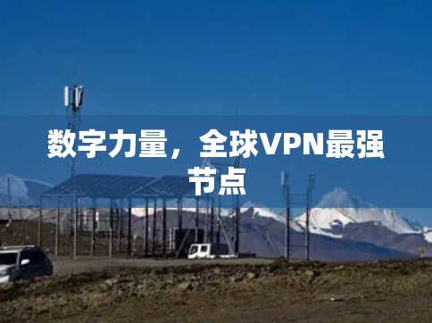 数字力量,全球VPN最强节点 数字力量,全球VPN最强节点
