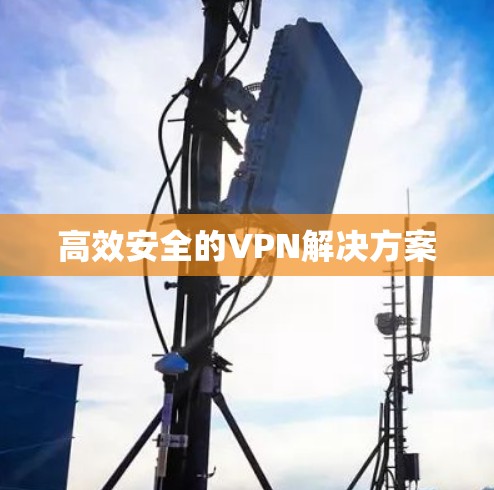 高效安全的VPN解决方案 高效安全的VPN解决方案