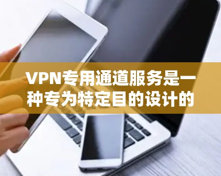 VPN专用通道服务是一种专为特定目的设计的VPN协议或服务，通常旨在提供更高效、安全或特定功能的连接。以下是对这些服务的详细分析