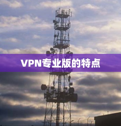 VPN专业版的特点
