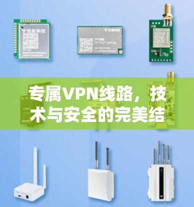 专属VPN线路,技术与安全的完美结合