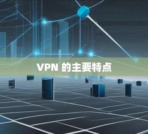 VPN 的主要特点