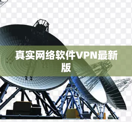 真实网络软件VPN最新版 真实网络软件VPN最新版