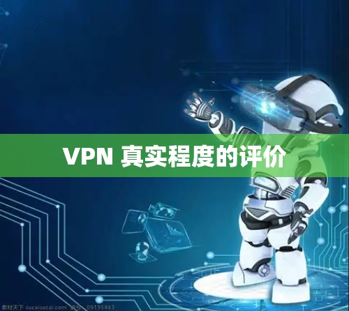 VPN 真实程度的评价