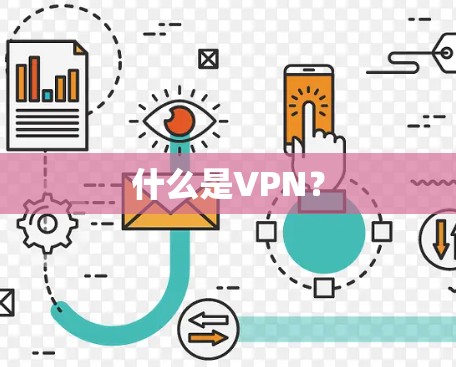 什么是VPN? 什么是VPN?