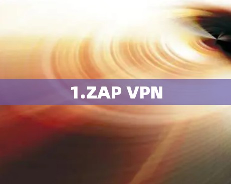 1.ZAP VPN 1.ZAP VPN