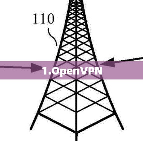 1.OpenVPN 1.OpenVPN