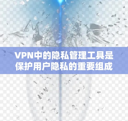 VPN中的隐私管理工具是保护用户隐私的重要组成部分，帮助用户在访问国际网络时管理数据和安全。以下是对这些工具的详细分析