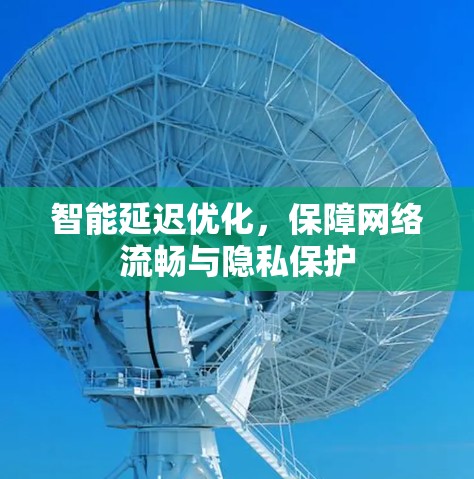 智能延迟优化，保障网络流畅与隐私保护