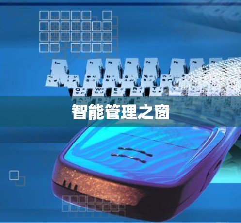 智能管理之窗