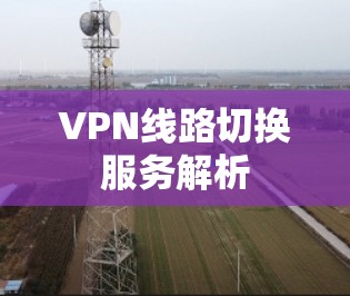 VPN线路切换服务解析