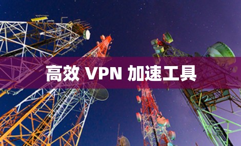 高效 VPN 加速工具 高效 VPN 加速工具