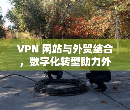 VPN 网站与外贸结合，数字化转型助力外贸增长