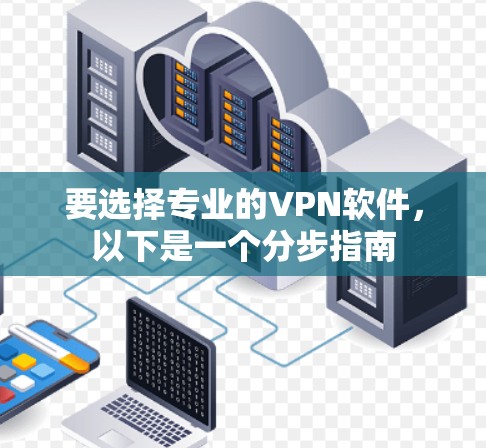 要选择专业的VPN软件，以下是一个分步指南