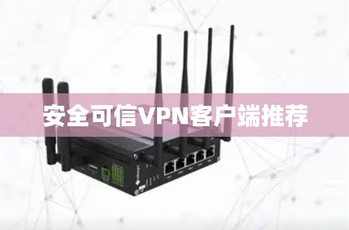 安全可信VPN客户端推荐