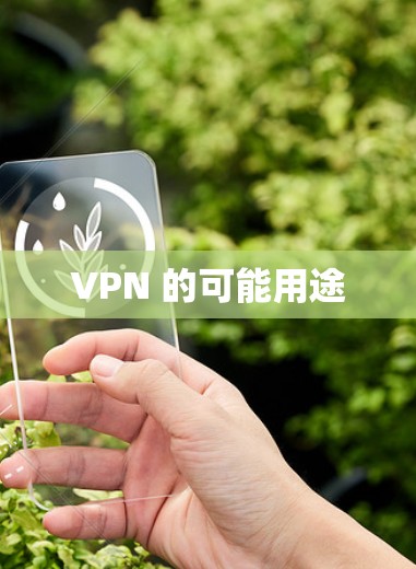 VPN 的可能用途