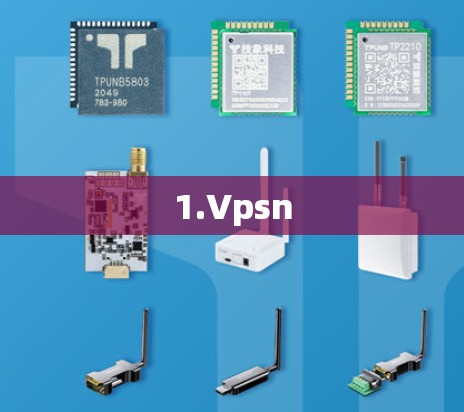 1.Vpsn