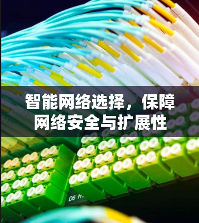 智能网络选择，保障网络安全与扩展性