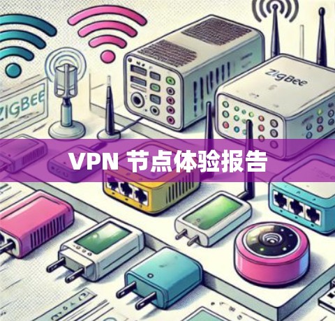 VPN 节点体验报告