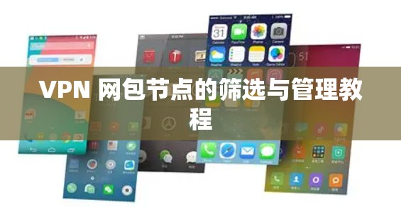 VPN 网包节点的筛选与管理教程 VPN 网包节点的筛选与管理教程
