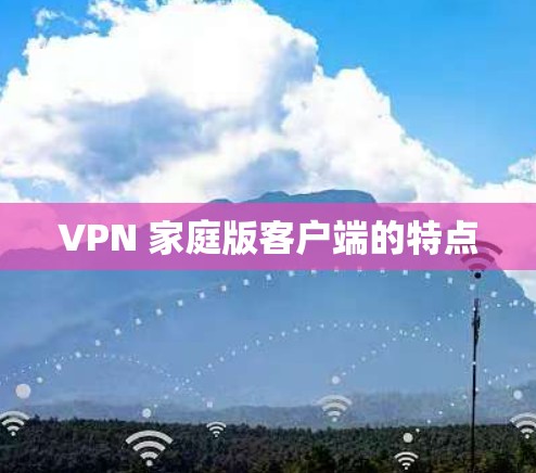VPN 家庭版客户端的特点 VPN 家庭版客户端的特点