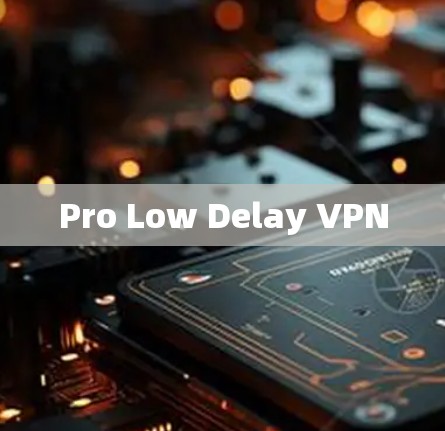 Pro Low Delay VPN Pro Low Delay VPN