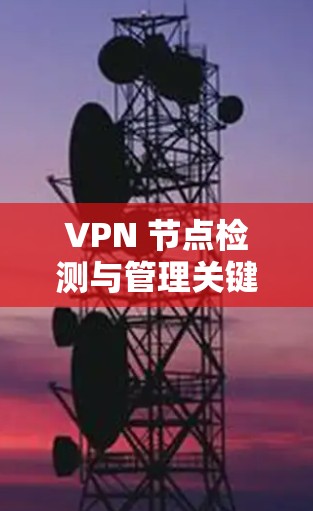 VPN 节点检测与管理关键技术