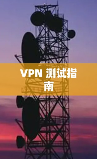 VPN 测试指南