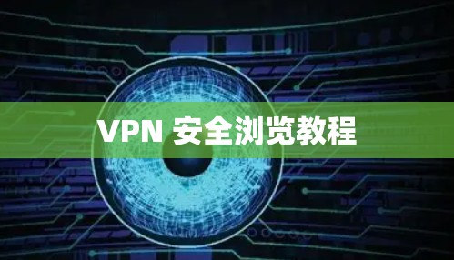 VPN 安全浏览教程