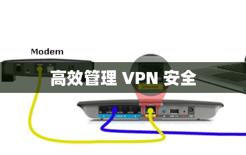 高效管理 VPN 安全 高效管理 VPN 安全