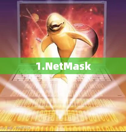1.NetMask